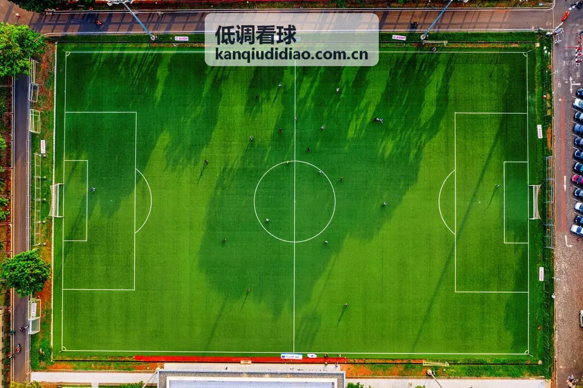 低调看球·足球数据速读关键指标配图